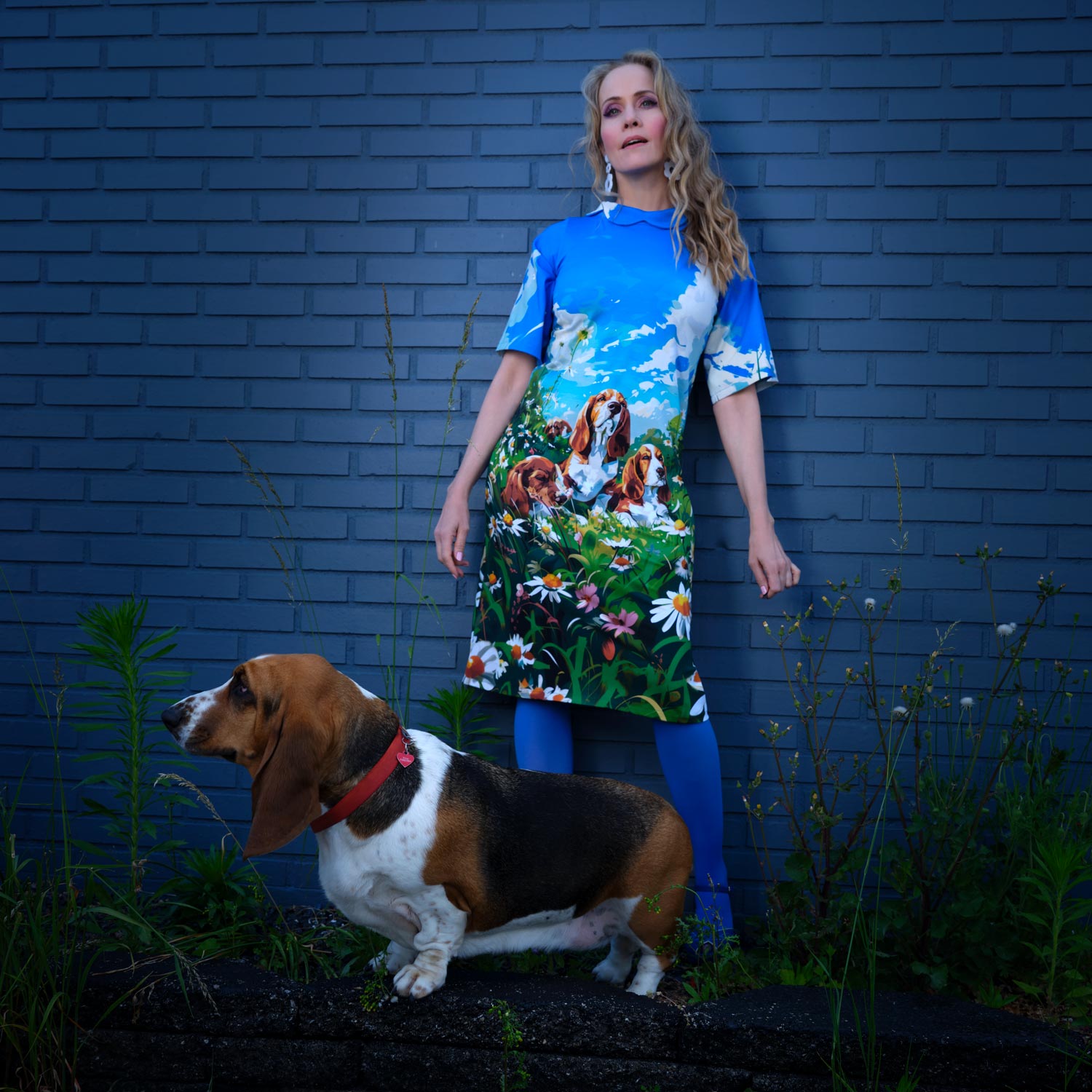 Meadow Von Hound Dress