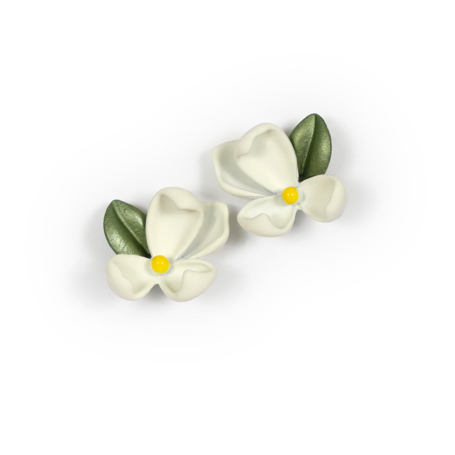 Plumeria